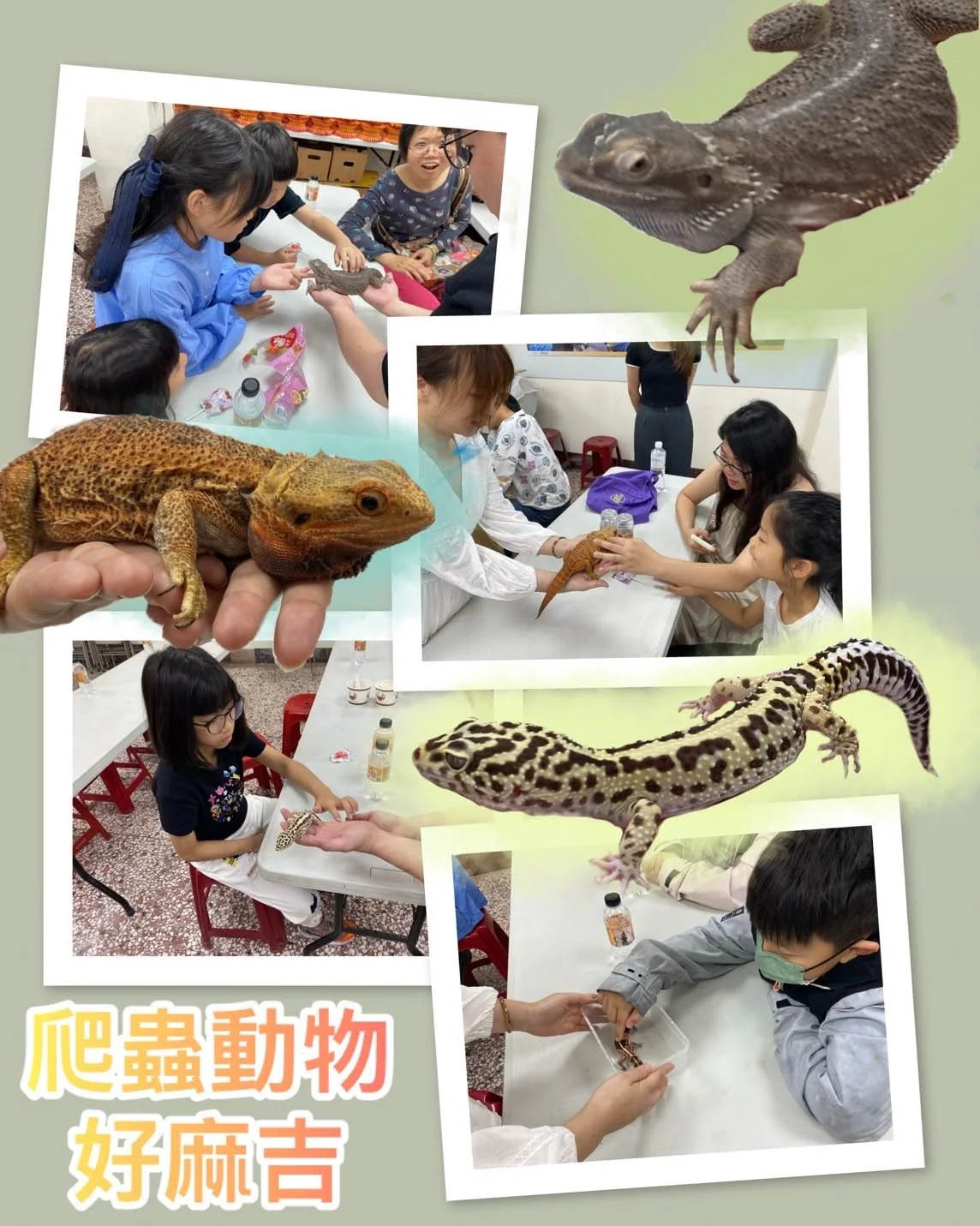 翊起認識爬蟲動物-歡慶兒童節